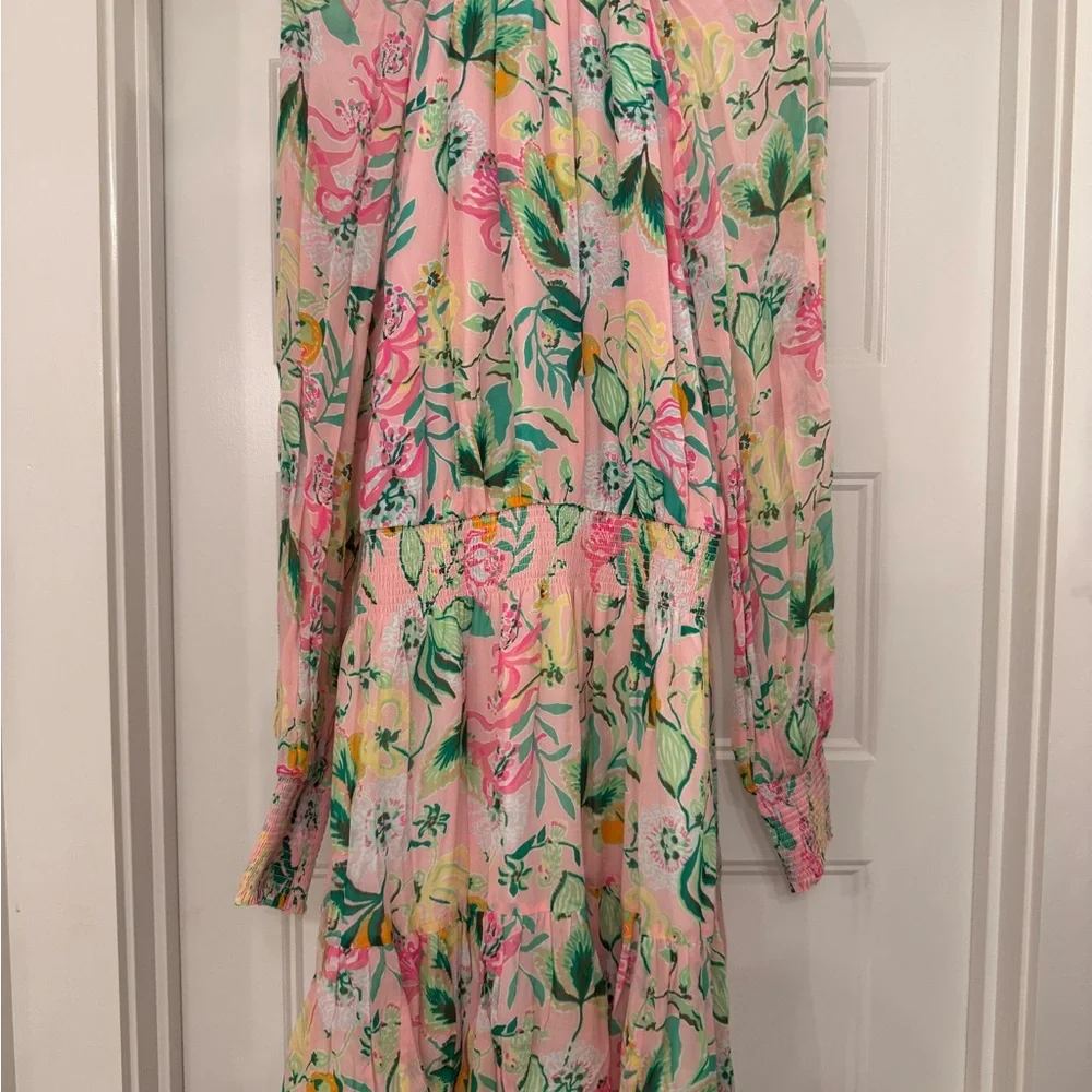 Lilly Pulitzer Ellielynn Dress - Picture 7 of 7